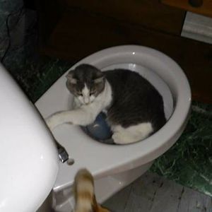 Meet your Posher, Barbara